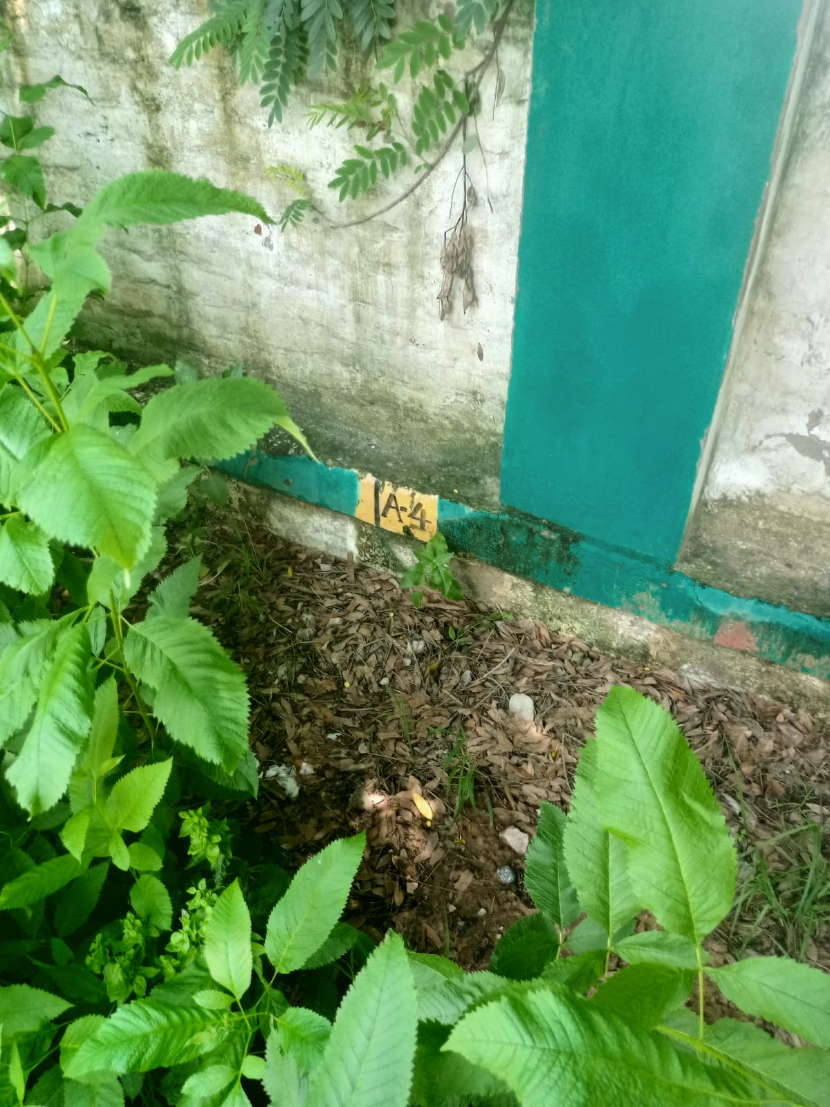 192.82 SQ. YDS. Residential Plot In Ajmer Road, Jaipur